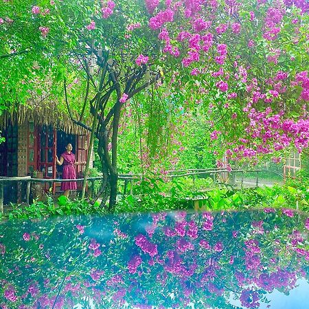 Maison Teahouse Homestay 하 기앙 외부 사진