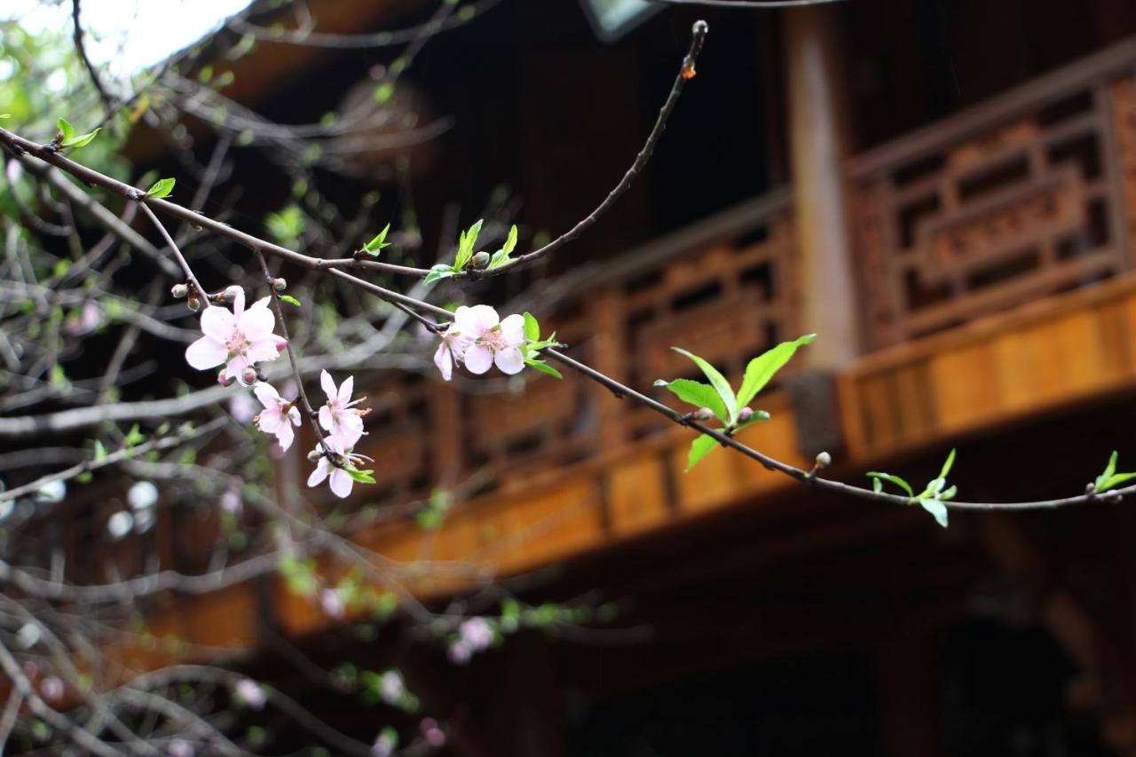 Maison Teahouse Homestay 하 기앙 외부 사진
