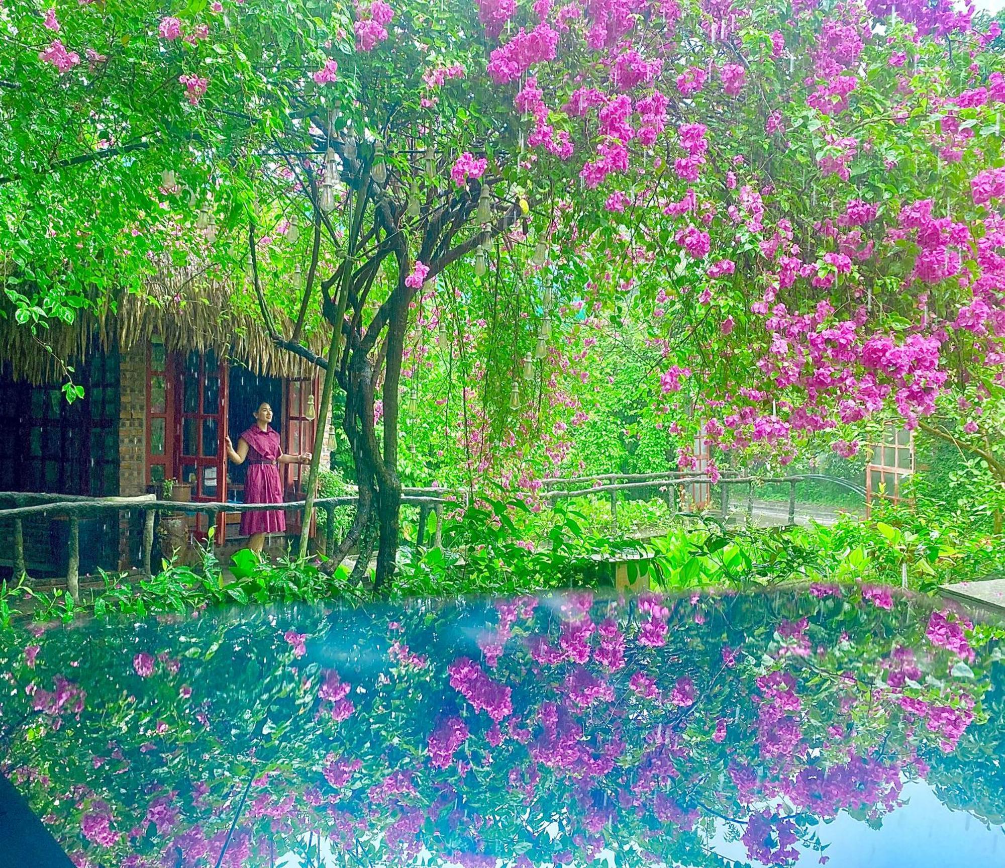 Maison Teahouse Homestay 하 기앙 외부 사진